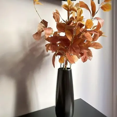 Apartament Champs-elysees 5 Etoiles